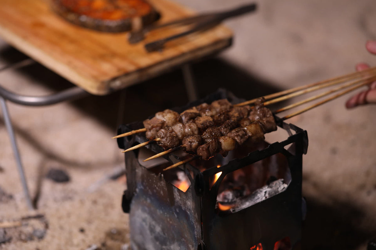 Brændeovn og titaniumgrill