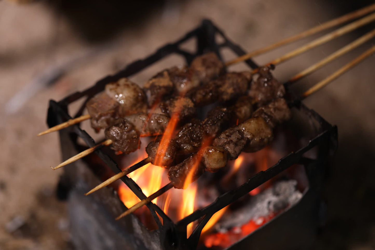 Brændeovn og titaniumgrill