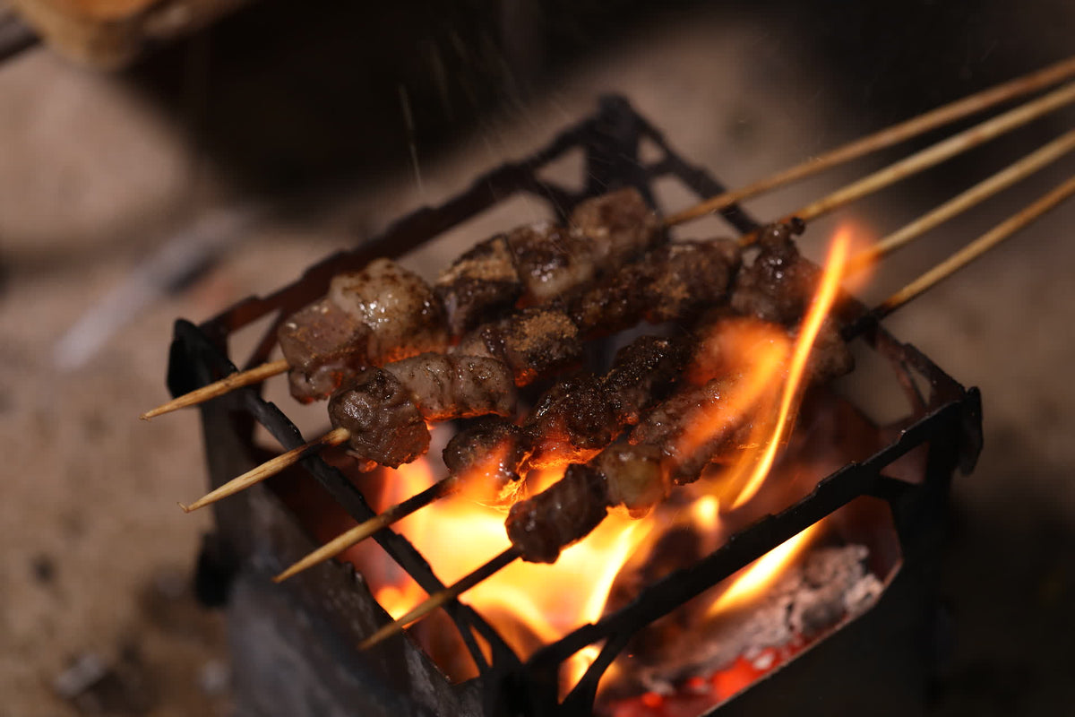 Brændeovn og titaniumgrill